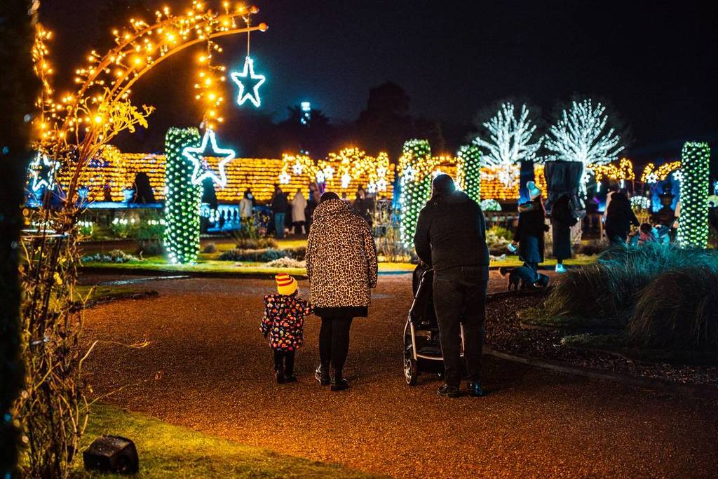 Trentham Light Trails