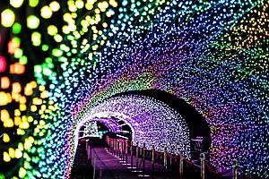 The Most Magical Christmas Light Trails In And Around Birmingham – From A ‘Wizard Of Oz’-Themed Garden To A Breathtaking Cathedral-Style Light Tunnel