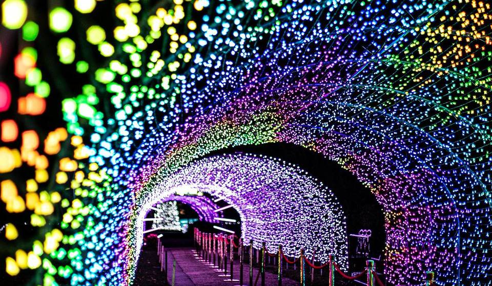 The Most Magical Christmas Light Trails In And Around Birmingham &#8211; From A &#8216;Wizard Of Oz&#8217;-Themed Garden To A Breathtaking Cathedral-Style Light Tunnel