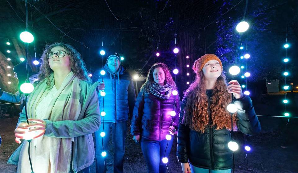 The ‘UK’s Number One Festive Light Trail’ Will Illuminate These Beautiful Botanical Gardens In Birmingham This Christmas