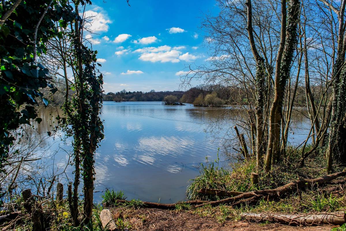 Earlswood Lakes canal reservoir winterspring West Midlands England UK