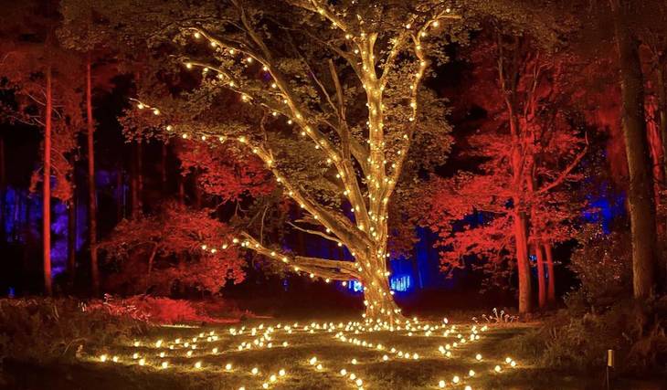 5 Fun-Filled Adventures To Discover In Birmingham That Are Perfect For The Whole Family