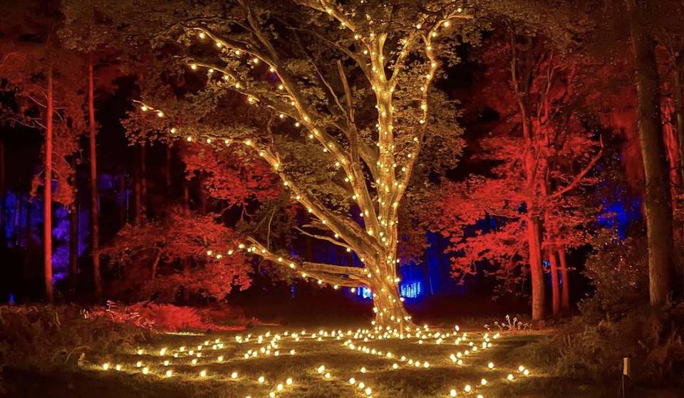 5 Fun-Filled Adventures To Discover In Birmingham That Are Perfect For The Whole Family