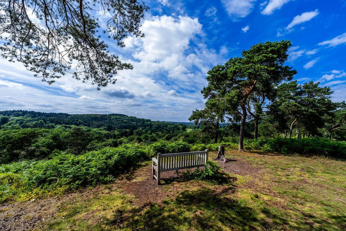 lickey hills west midlands england uk