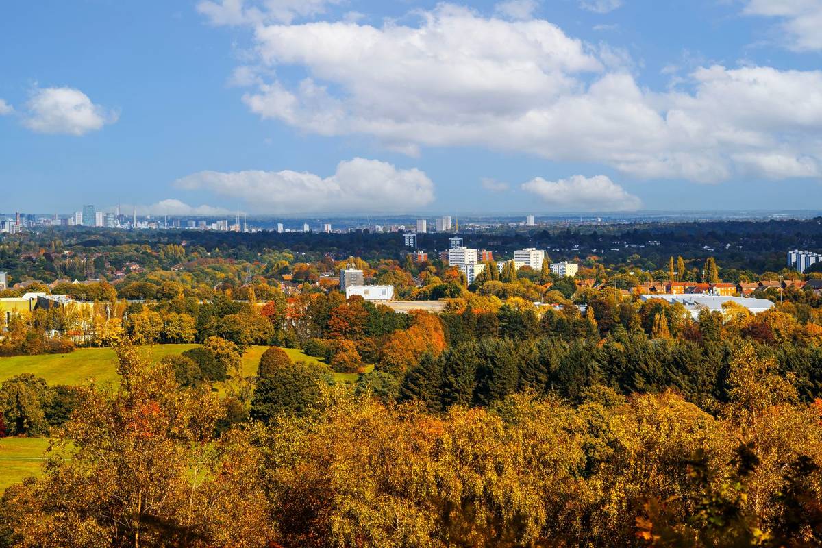 heathland lickey hills country park overlooking city of birmingham england uk