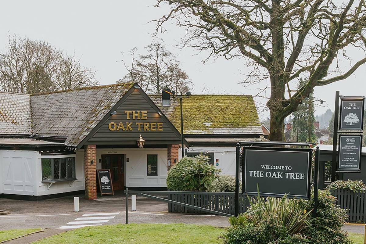 The Oak Tree