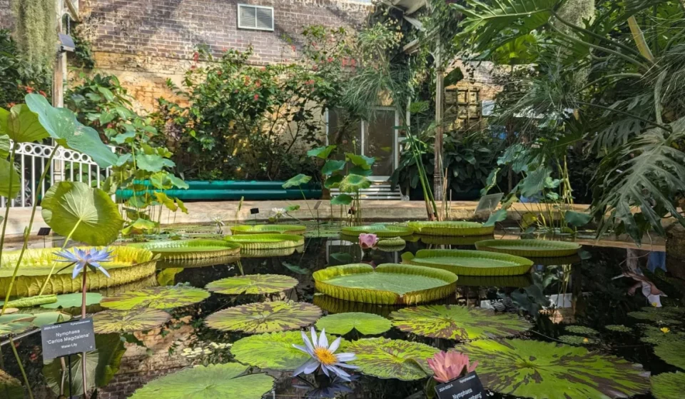 This Magical Two-Day Artisan Christmas Market Is Happening At These Beautiful Birmingham Gardens – With Live Music And A Light Trail