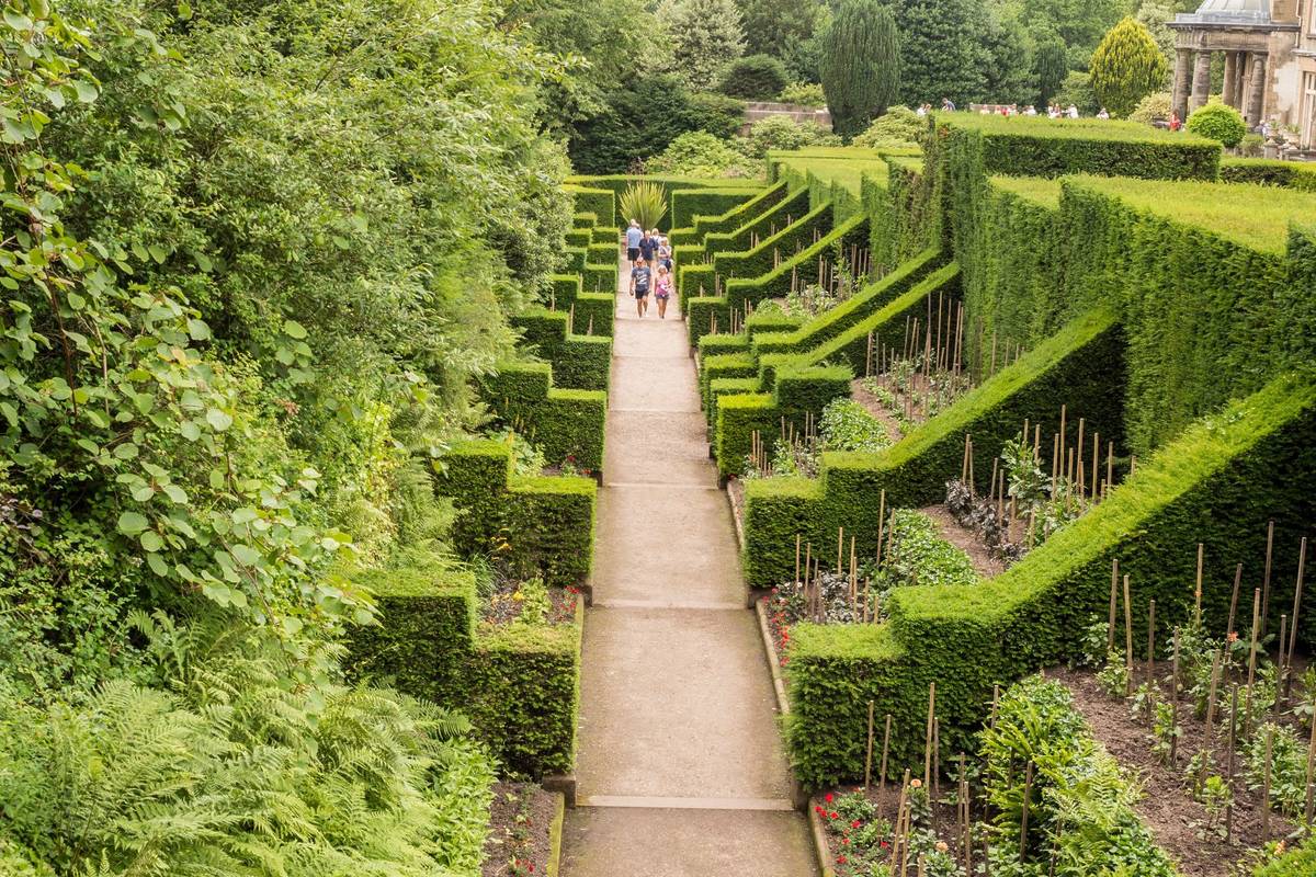 Biddulph, Stoke on trent, Staffordshire, UK. July 9th 2017. Attractiveley trimmed hedges in summer at Biddulph grange, Biddulp, Staffordshire, UK
