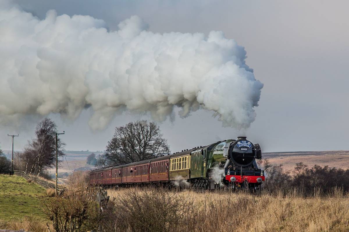 The Flying Scotsman with steam coming out the top in the countryside