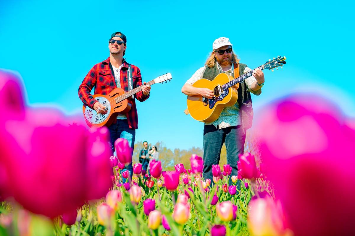 Musicians at Tulleys Tulip Garden