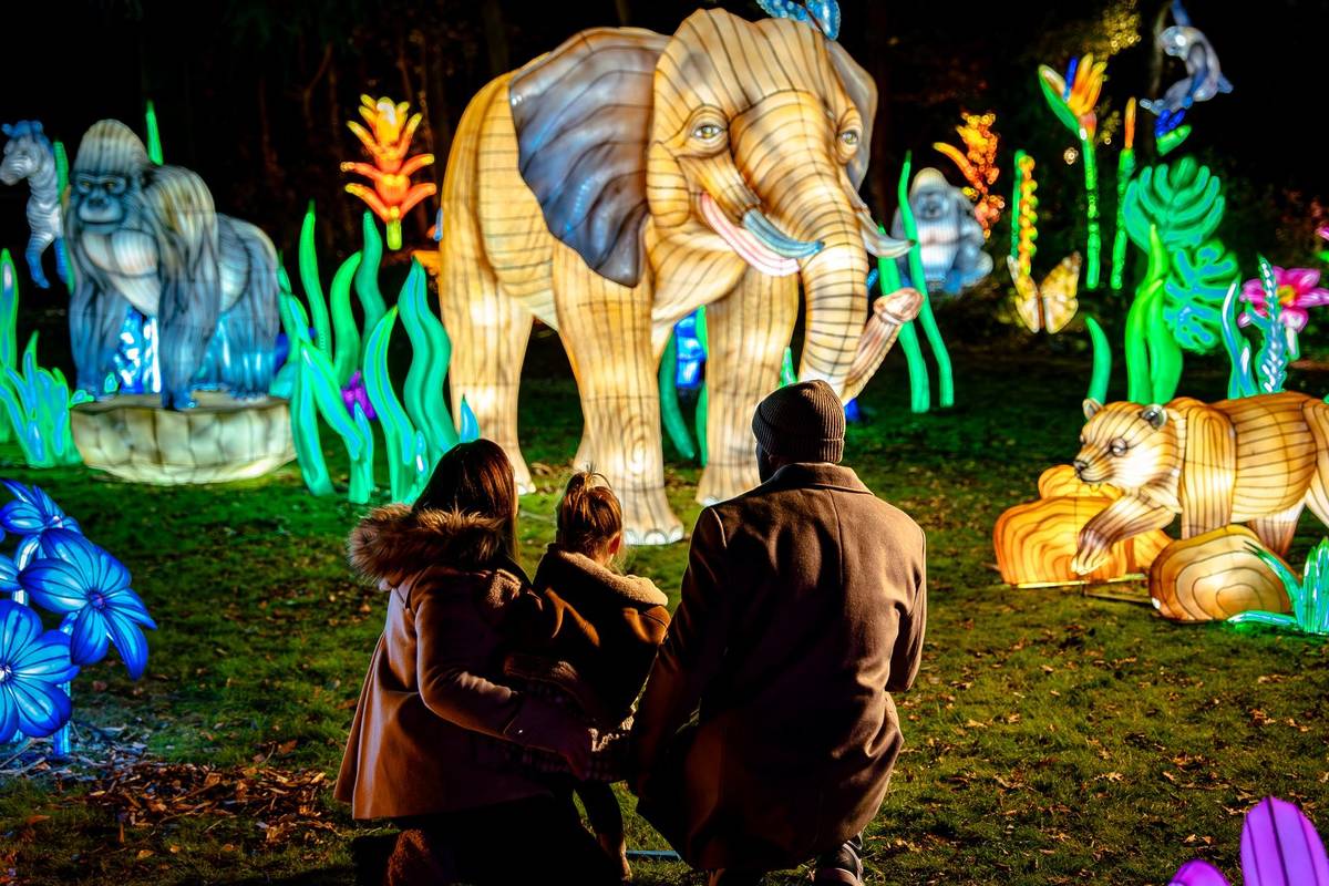 Animals as lanterns, like elephants and gorillas