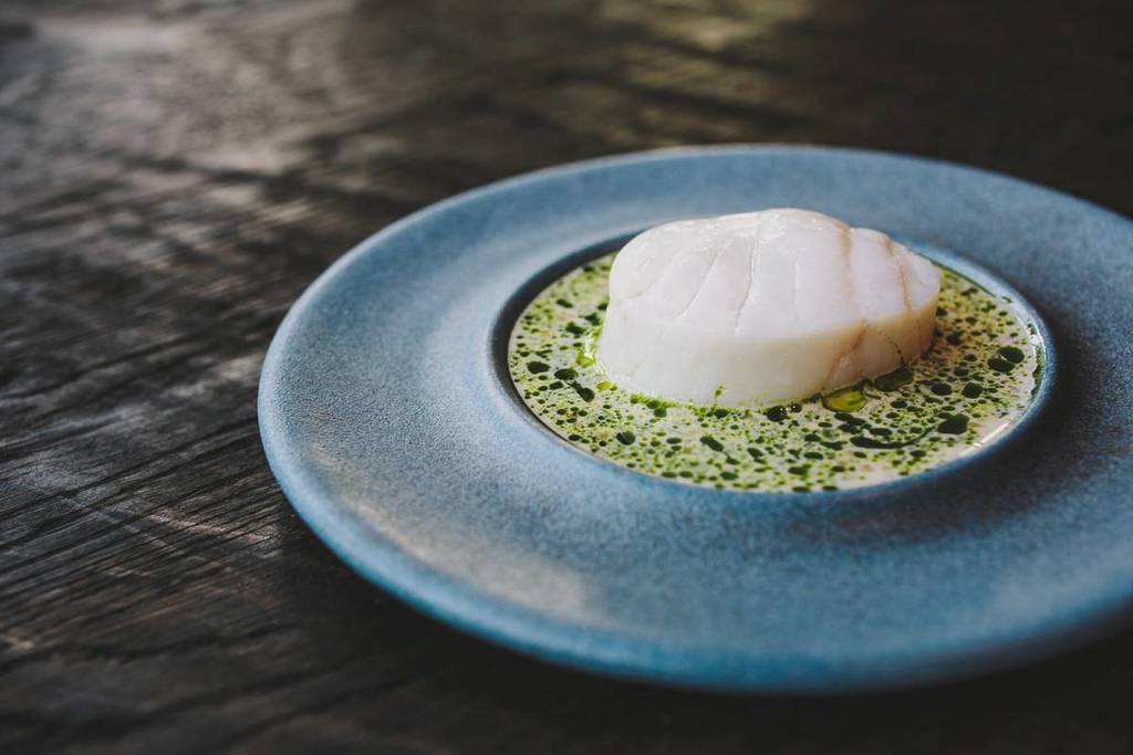 Cod mussel horseradish