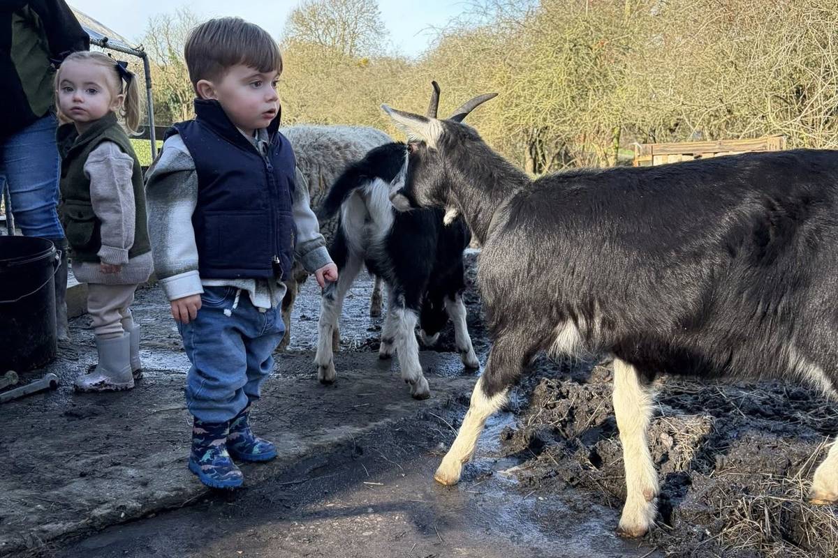 Children at Little Twinnies Farm