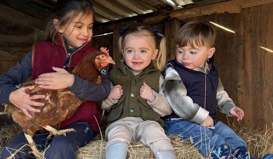 30 minutes outside of Birmingham, this budget Black Country farm is just £2 to enter – where you can pet lambs, ducklings and more this Easter