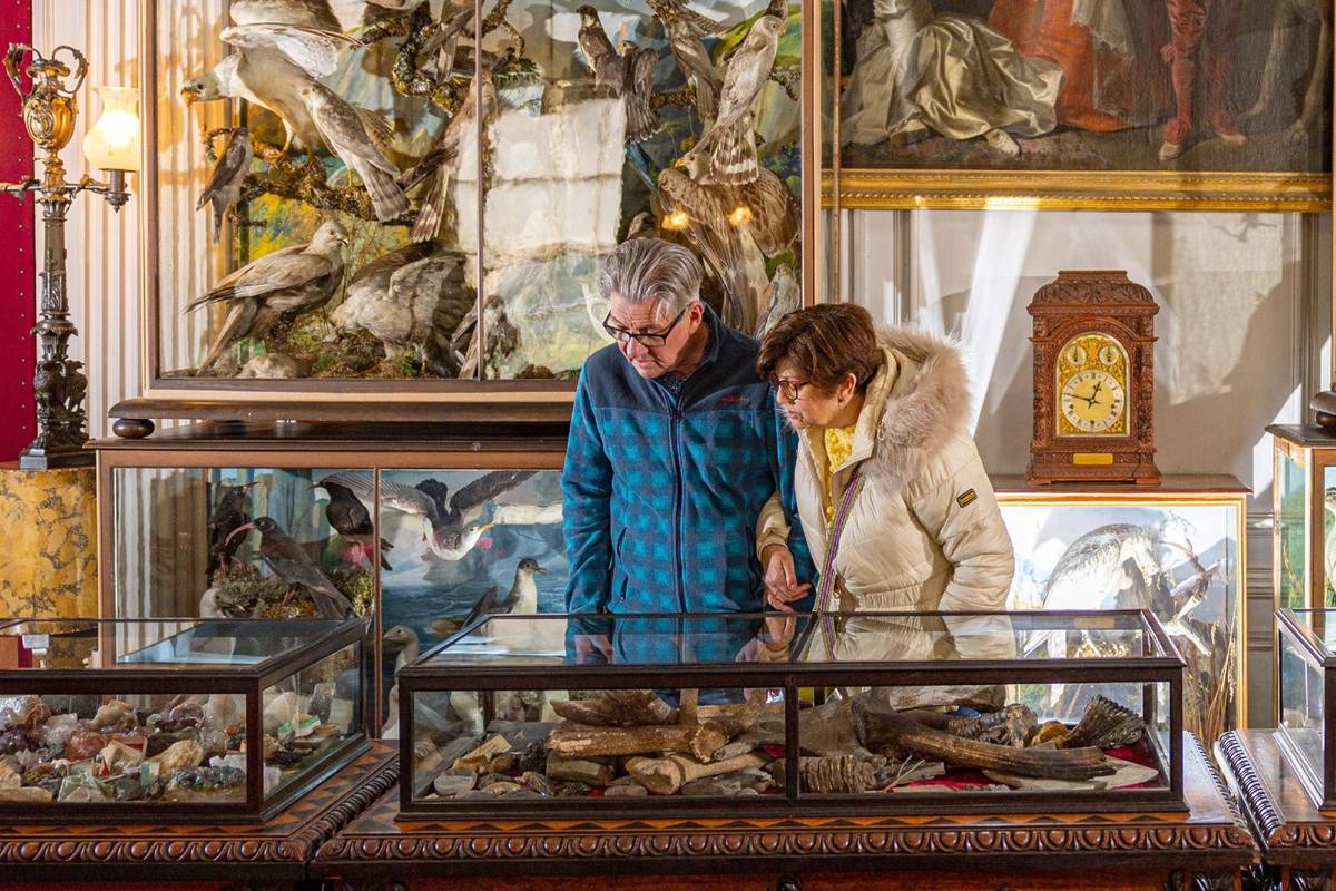 The Saloon at Calke Abbey |