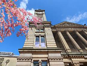 Birmingham is currently being transformed into a ‘pink’ cherry blossom haven – here is where best to find sakura trees in the West Midlands