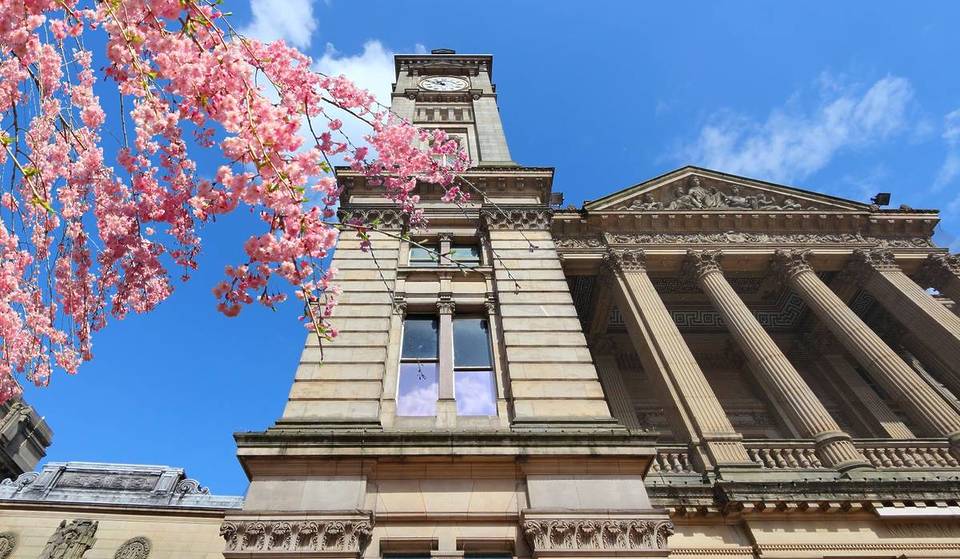 Birmingham is currently being transformed into a ‘pink’ cherry blossom haven – here is where best to find sakura trees in the West Midlands