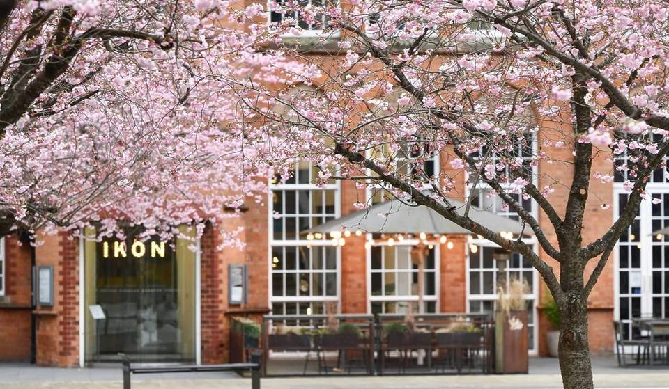 This iconic Birmingham square is finally getting its own cherry blossom celebration this weekend – with a makers’ market, live music, and children’s activities