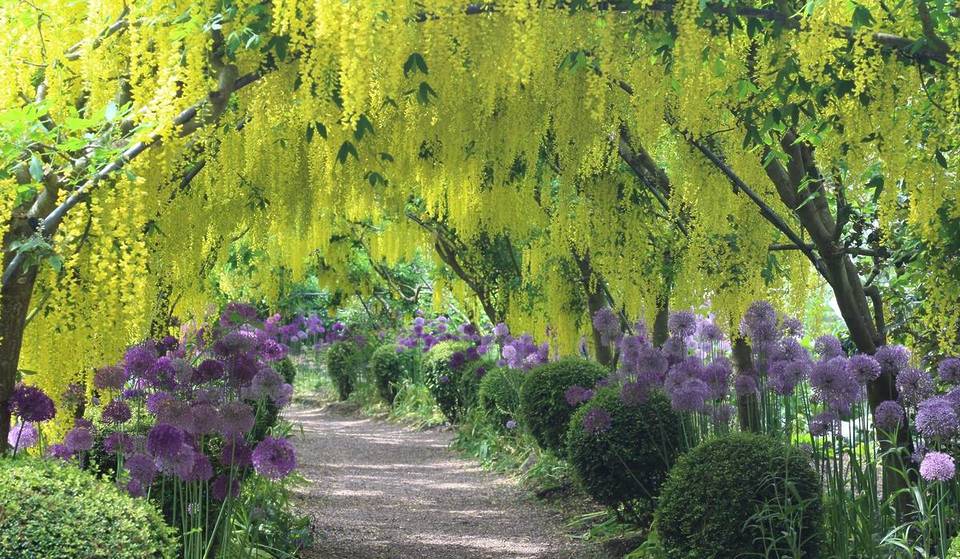 ‘A series of interesting walks’: The heartbreaking love story behind this stunning hidden quarry garden just 1 hour from Birmingham