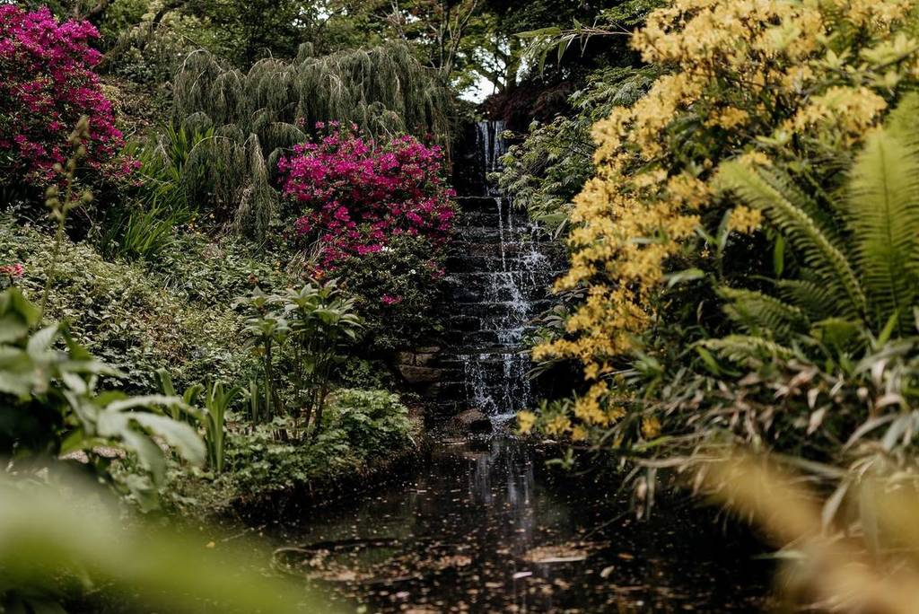 A waterfall at Dorothy Clive Garden