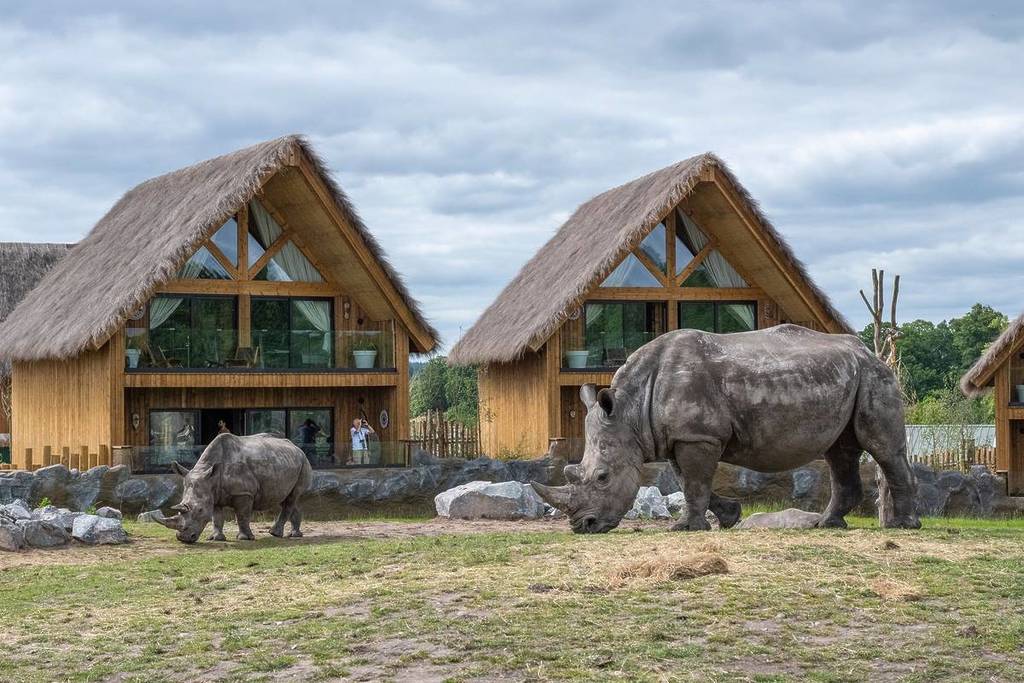 Rhino Lodges at West Midlands Safari Park