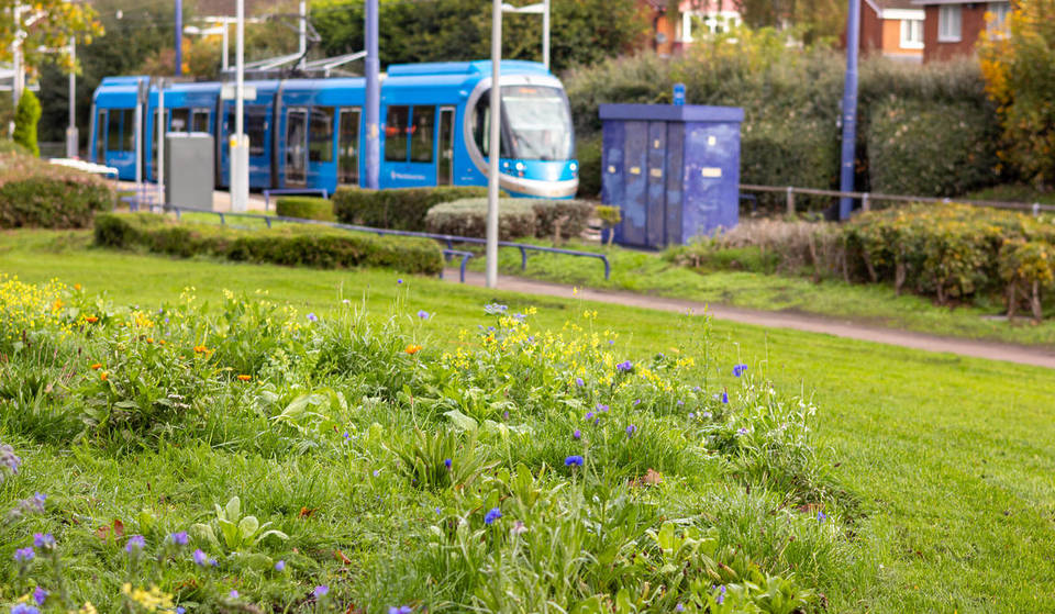 This West Midlands tram stop is getting an ‘eco-island’ to attract rare, local wildlife — with 6 more locations to follow