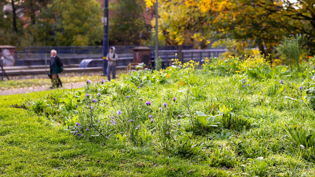 People waiting at a tram stop at an eco-island full of wildflowers