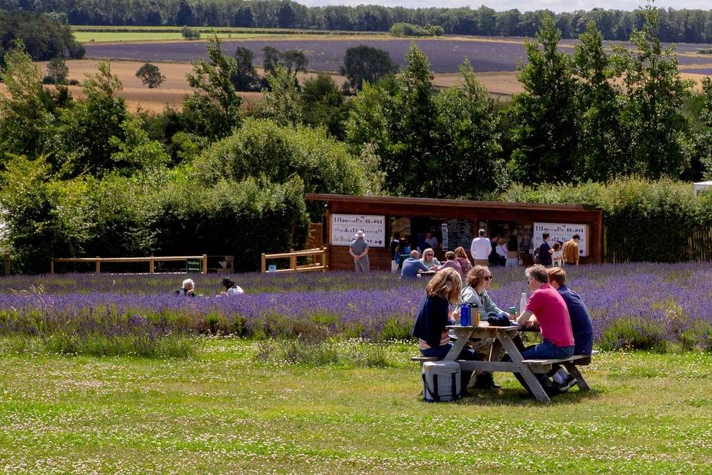 A family at a picnic bench at Cotswold Lavender