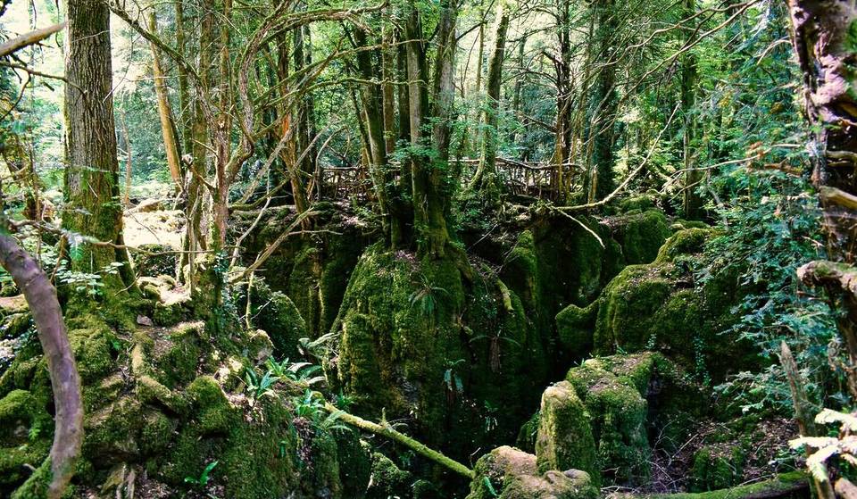 This 14-acre ‘hidden world’ near Birmingham features 4,500-year-old caves and moss-covered canyons — and it inspired the landscapes of ‘Lord of the Rings’ and ‘Star Wars’