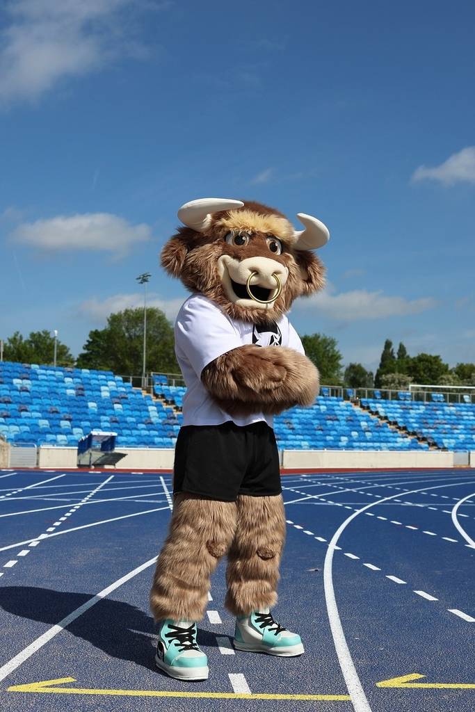 Bab the Bull