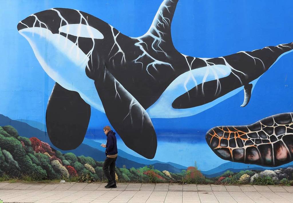 Weston Super Mare UK September 7th 2024 - Photo of killer whale mural with man walking past