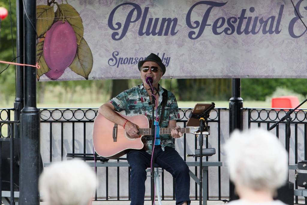A musical performer at Pershore Plum Festival