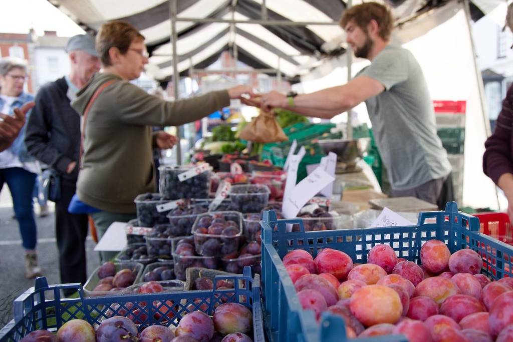 A market stall of plums