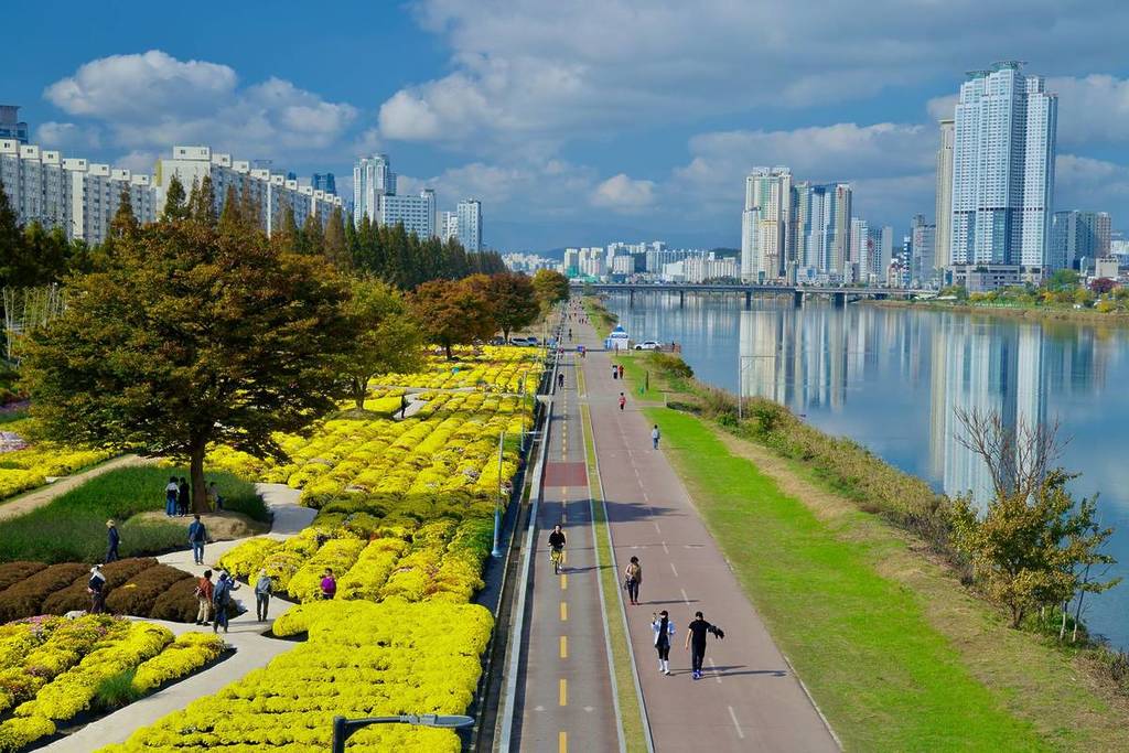 Ulsan, South Korea - November 14th, 2024: A scenic view of Taehwa River Park showcasing vibrant chrysanthemum gardens and a riverside path with visitors, cyclists, and joggers against a city skyline.
