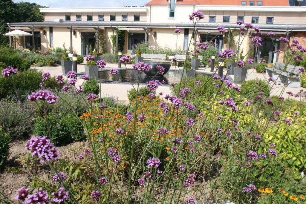 Marie Curie Hospice Garden