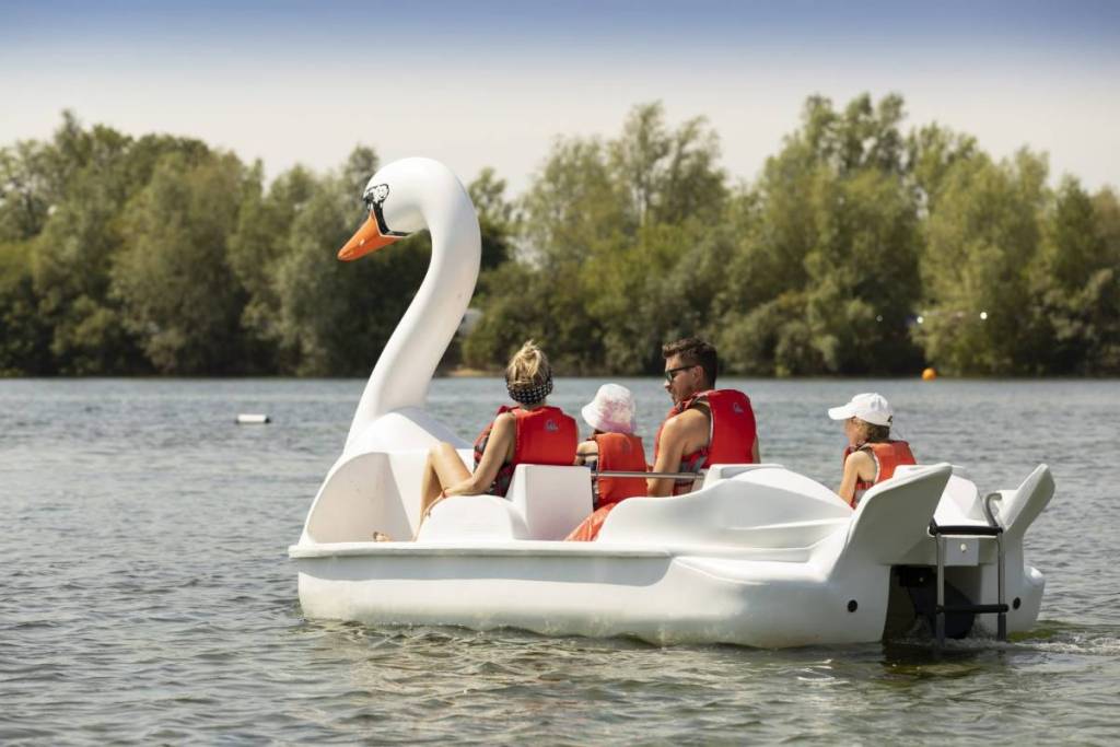 Swan pedalo
