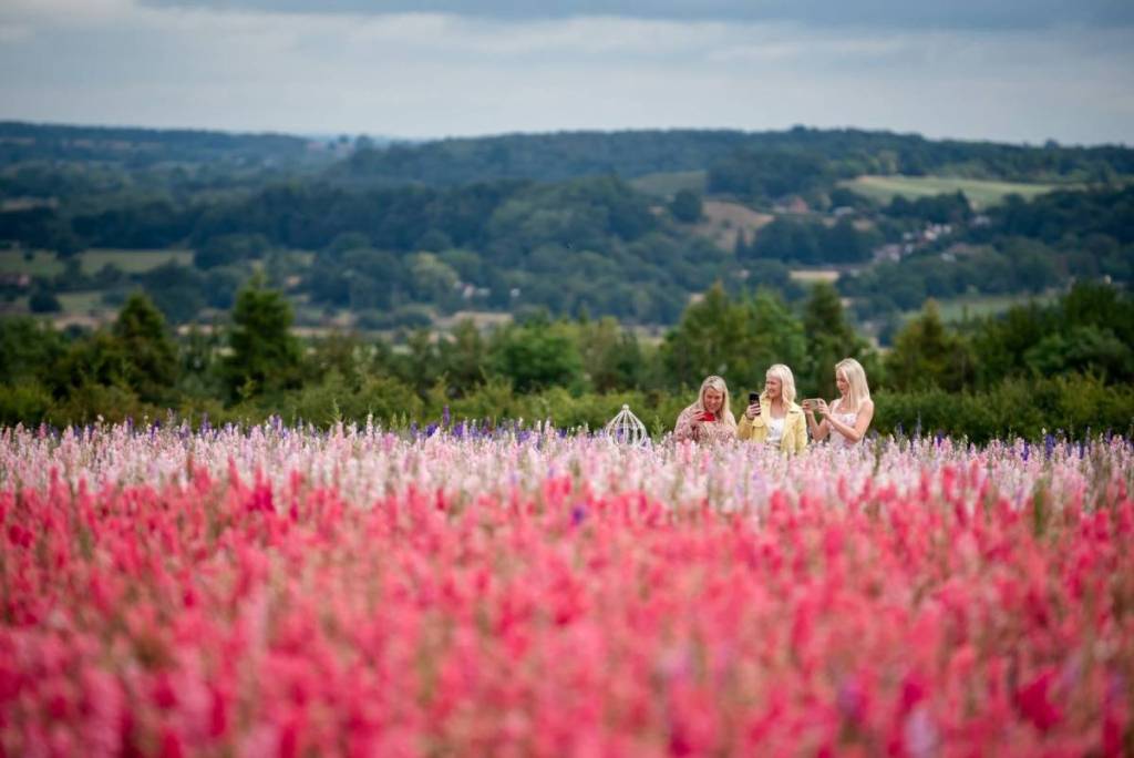Three blonde women taking photos in Shropshire Petal Fields