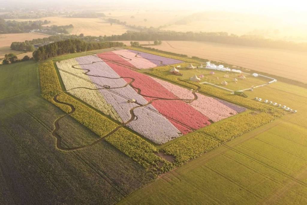 Aerial view of Shropshire Petal Fields