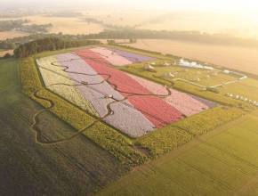 This 10-day pop-up flower field near Birmingham opens to the public this week – here is everything you need to know about visiting the Shropshire farm