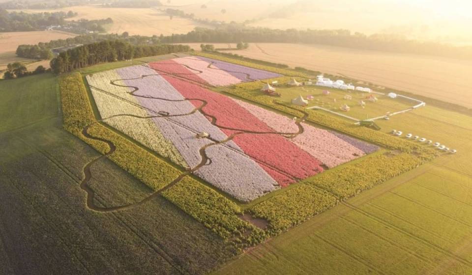 This 10-day pop-up flower field near Birmingham opens to the public this week – here is everything you need to know about visiting the Shropshire farm
