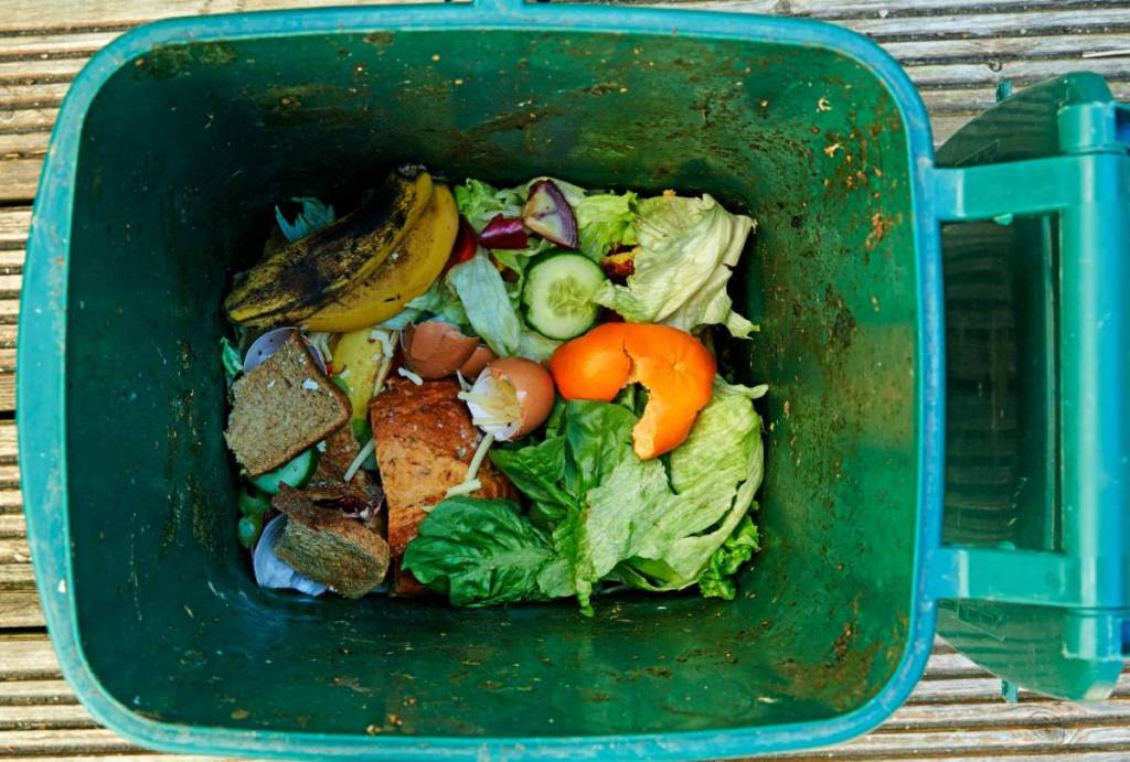 Looking down on biodegrading food waste in green recycling bin