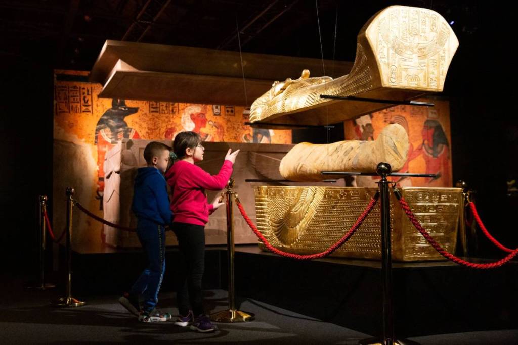 Treasure Room at Tutankhamun: The Immersive Exhibition
