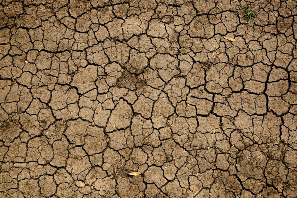 Dry ground in a drought