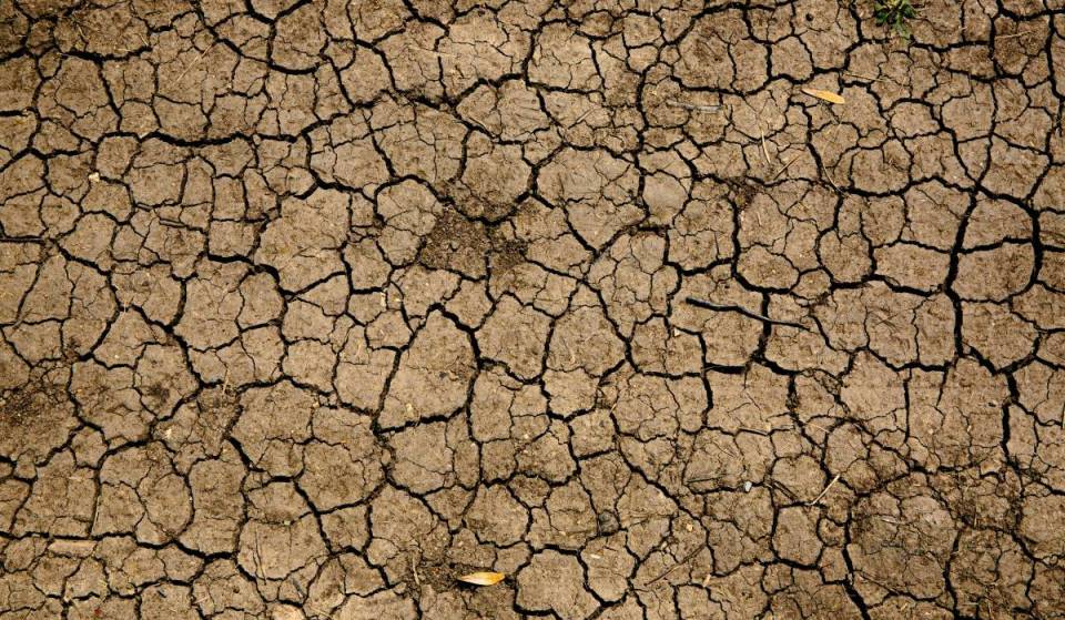 The Environmental Agency has declared an official drought across the West Midlands following one of the hottest and driest Julys on record – here’s what you need to know