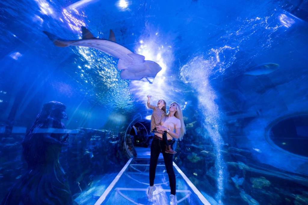 A mum and daughter looking at a stringray at National SEA LIFE Centre Birmingham