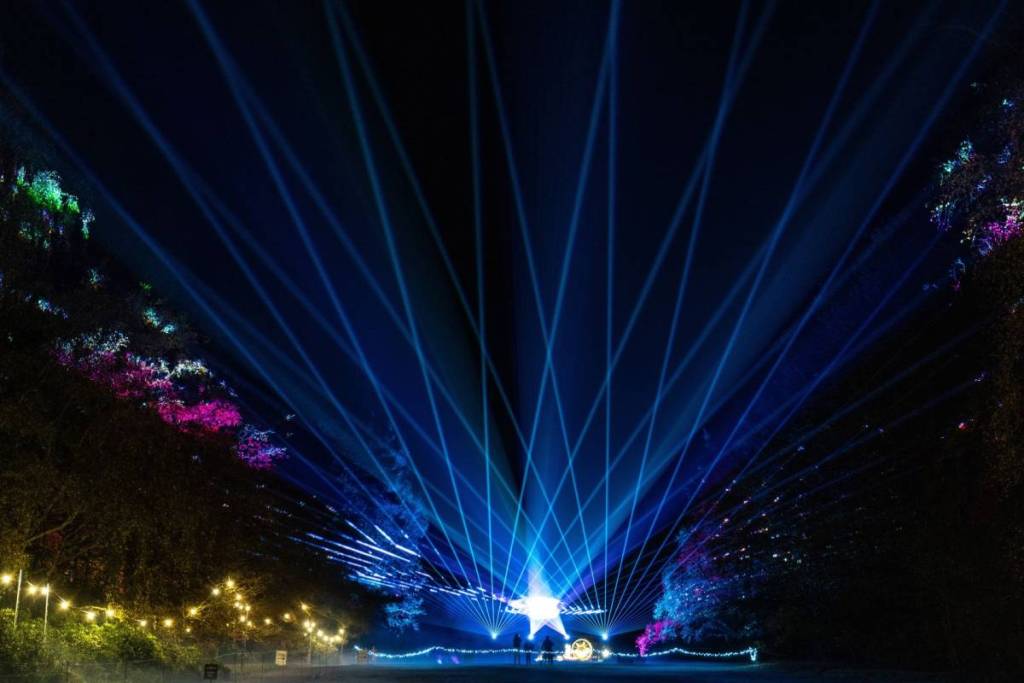 A light show from a distance in Birmingham Botanical Gardens