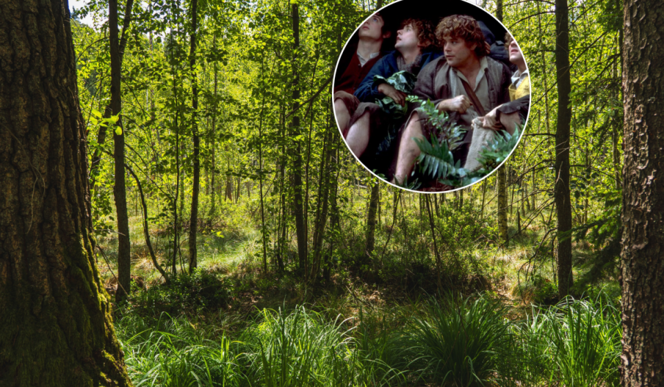 You don’t need to travel to New Zealand; this enchanted Birmingham woodland is where J.R.R. Tolkien’s magical Middle-earth began