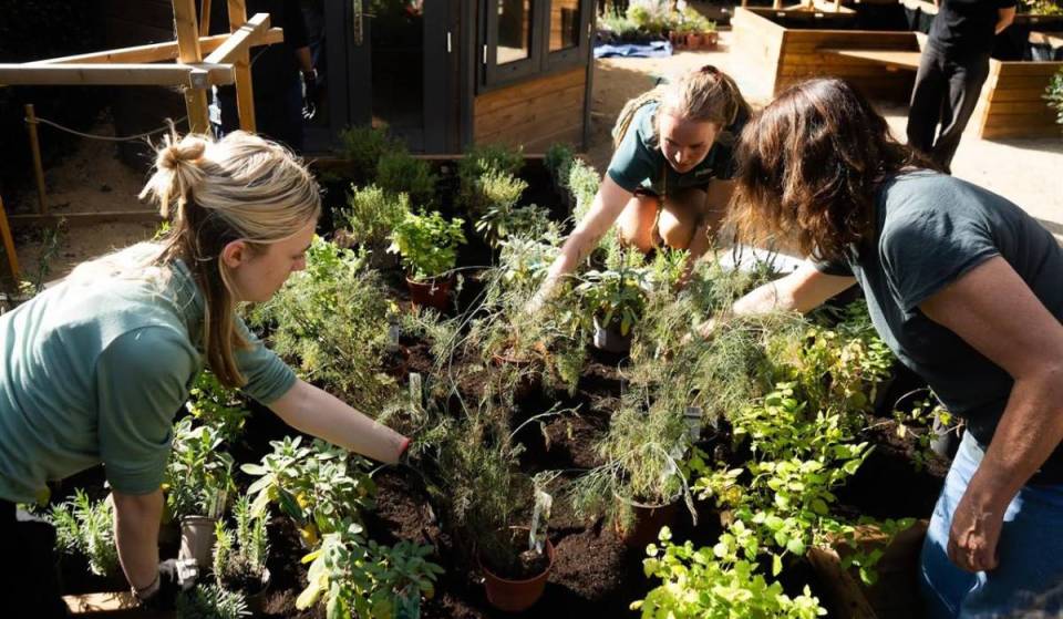 “A fascinating history”: Birmingham Botanical Gardens unveils an incredible 21st-century Physic Garden inspired by 17th-century apothecary remedies