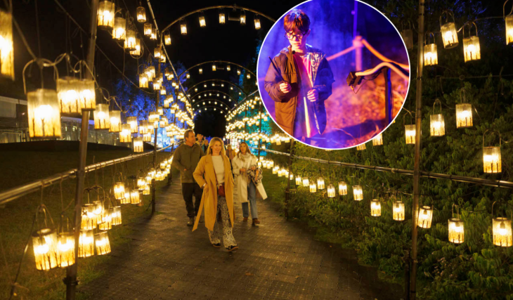 A blockbuster woodland light trail, inspired by the Forbidden Forest in Harry Potter, will open less than two hours from Birmingham for a limited winter run