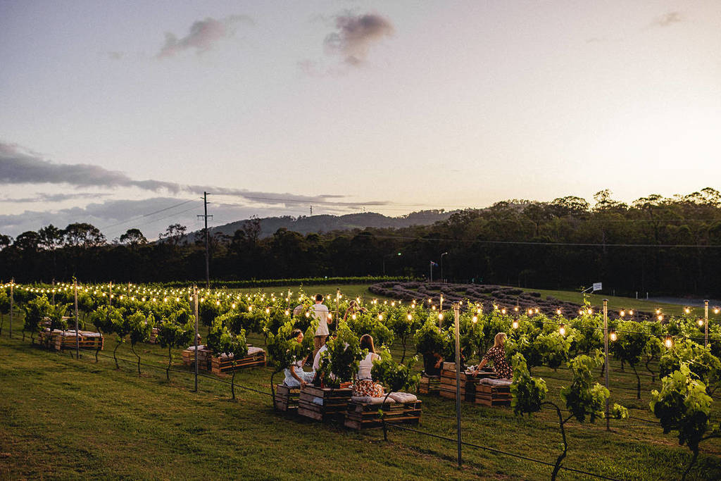 twilight in the vines brisbane november